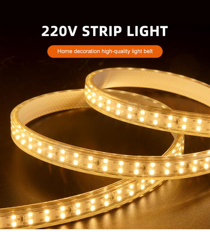 DC220V Smd 2835 Led Strip 12.5W/M Color Change Outdoor Led Strip 0