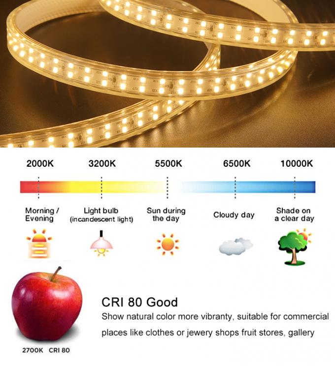 DC220V Smd 2835 Led Strip 12.5W/M Color Change Outdoor Led Strip 2