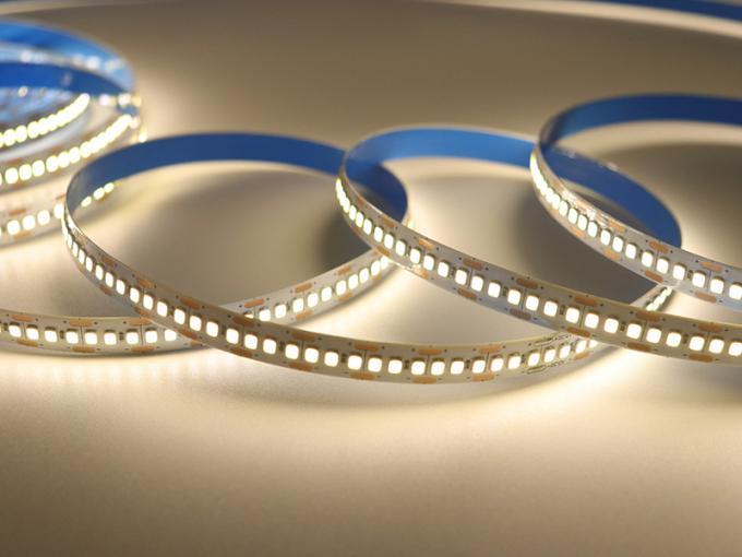 10mm 240leds Self Adhesive LED Strip 22W/M Warm White Cool White Led Strip 5