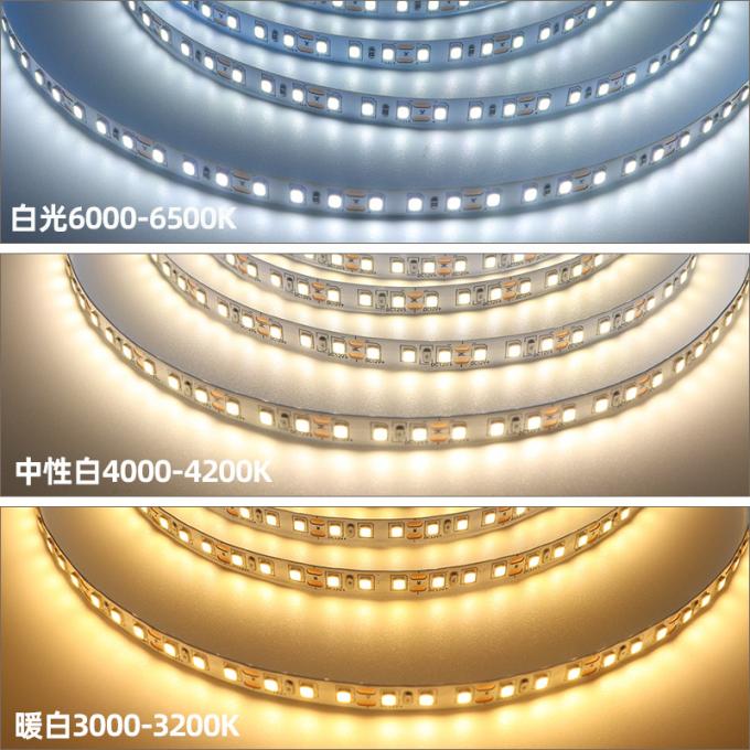 10mm 240leds Self Adhesive LED Strip 22W/M Warm White Cool White Led Strip 7