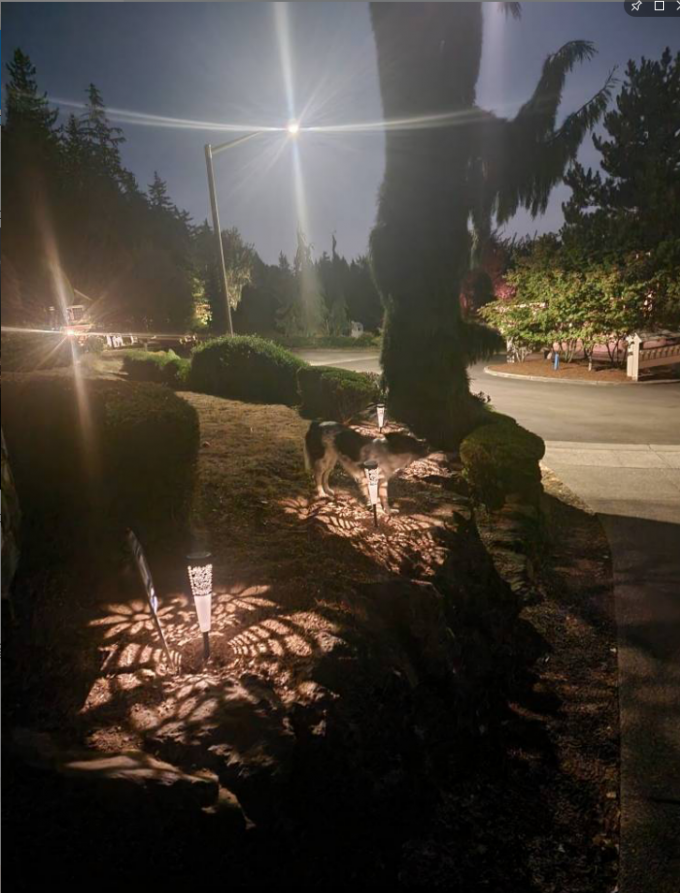 Solar Garden Walkway Lights LED Solar Powered Lights 3500K Warm White 0