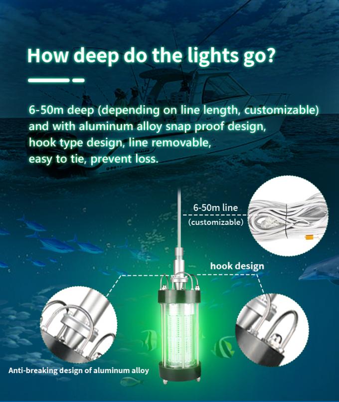 200W 1000W Submersible Fishing Light Outdoor Working Light AC220V 5