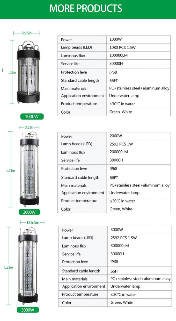 200W 1000W Submersible Fishing Light Outdoor Working Light AC220V 8