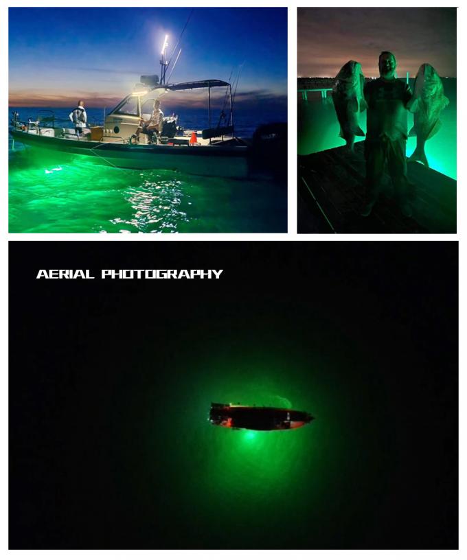 200W 1000W Submersible Fishing Light Outdoor Working Light AC220V 9