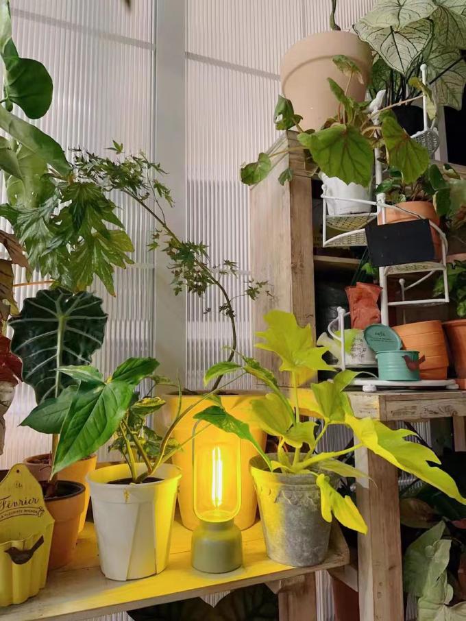 180lm Atmosphere Night Light Indoor Work Light 2700K Mosquito Repellent Lamp 6