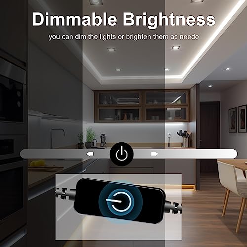 Long Lifespan 50000 Hours 24V LED Light Strip for Holiday Decor 5m Length Waterproof 4