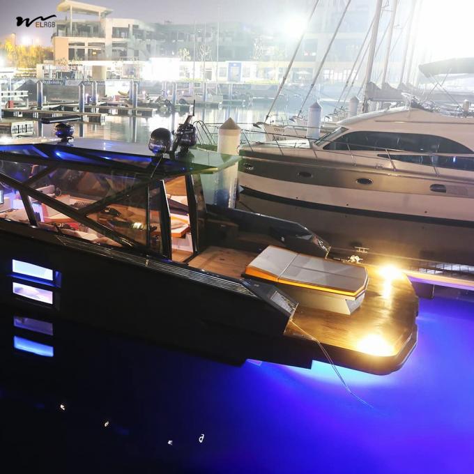 IP68 Waterproof Dual-Color Underwater Lights 42LED Blue White One Button Control LitePro DLX Layout 5