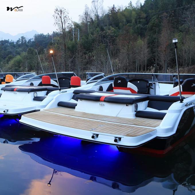 IP68 Waterproof Dual-Color Underwater Lights 42LED Blue White One Button Control LitePro DLX Layout 6