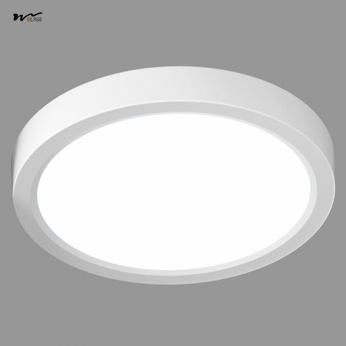 12W LED Modern Style Flat Ceiling Lamp LED Round Small Ceiling Light 2