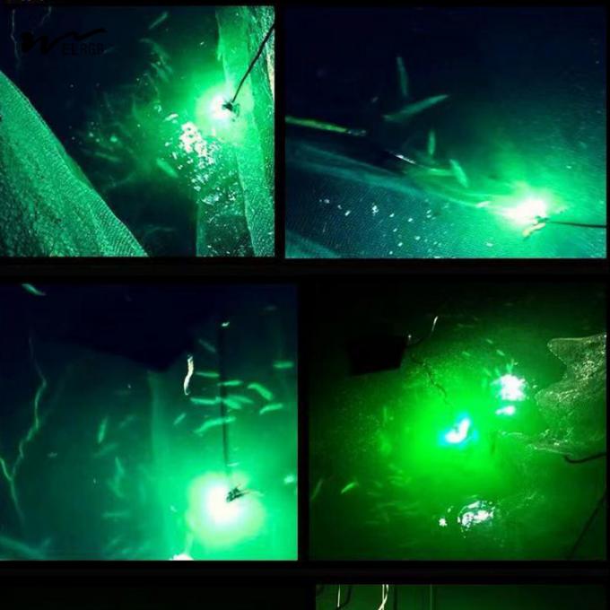 50000 Hours Lifespan 12V High Power 100W 200W Underwater Fishing Light for Night Fishing 6