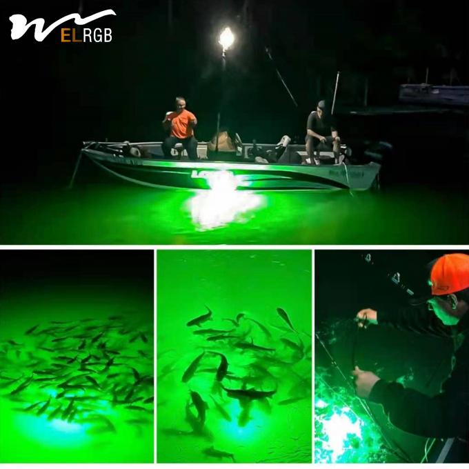 50000 Hours Lifespan 12V LED Underwater Squid Fishing Lamp for Sea Fishing 7