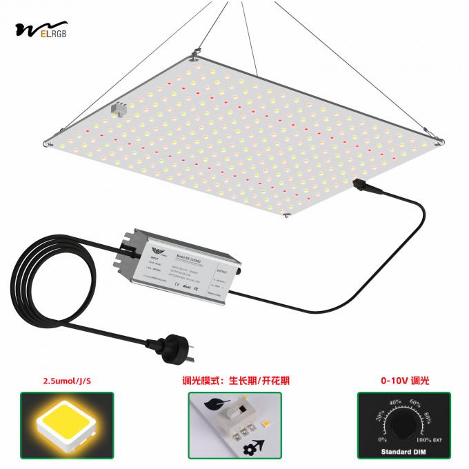 225 LED Beads 8000lm 600W 1200W 2000W Plant Growth Light for Greenhouse Succulent Seedling 6
