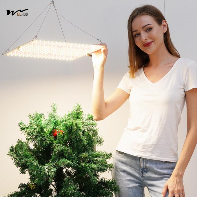 225 LED Beads 8000lm 600W 1200W 2000W Plant Growth Light for Greenhouse Succulent Seedling 7