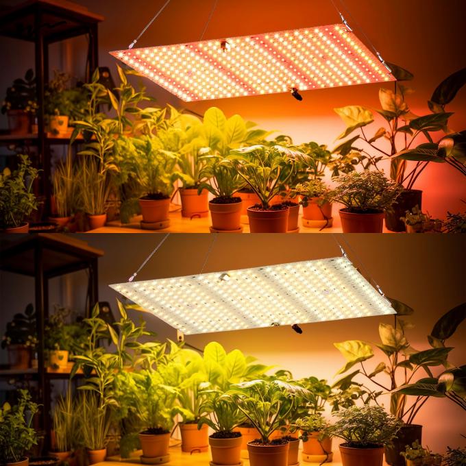 Hanging Full Spectrum LED Plant Light for Germination and Flowering in Grow Tents 6