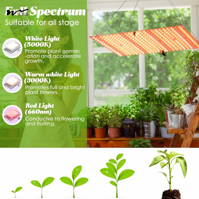 Hanging Full Spectrum LED Plant Light for Germination and Flowering in Grow Tents 5