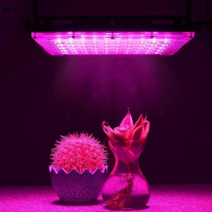 Seed Starting 50W Full Spectrum Plant Lamp with Stand LED Standing Floor Grow Light 6