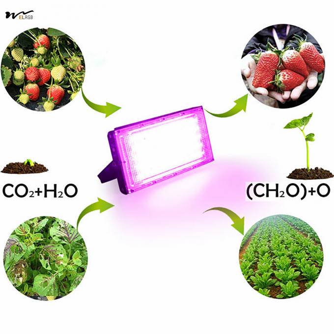 Seed Starting 50W Full Spectrum Plant Lamp with Stand LED Standing Floor Grow Light 7