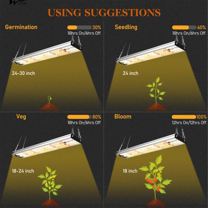 Kitchen Plants' Growth Essential Upgraded Full Spectrum Plant Light with 5000K 3000K 7