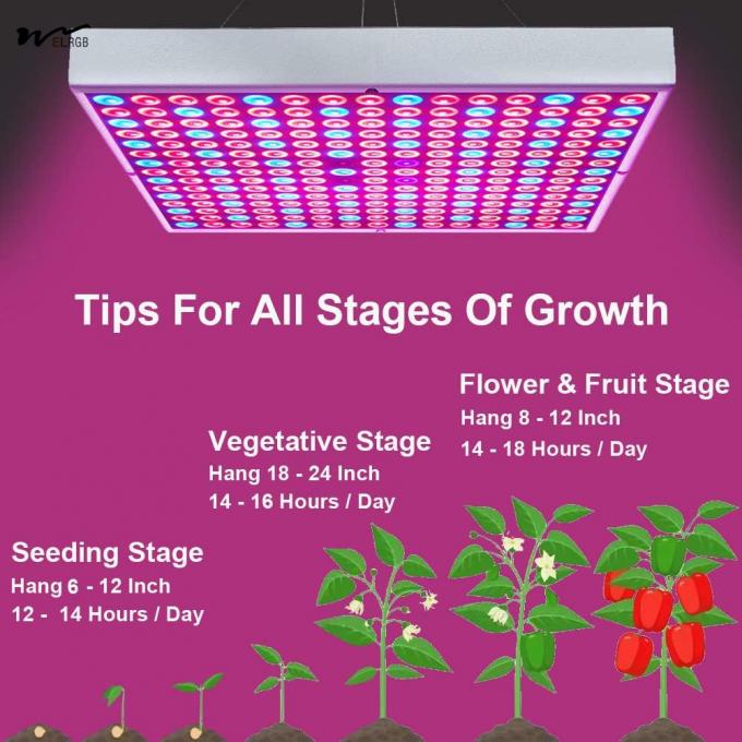 Grow Light Room 75W LED Plant Growth Lamp 225 LEDs UV IR Red Blue Full Spectrum Bulb Panel 5