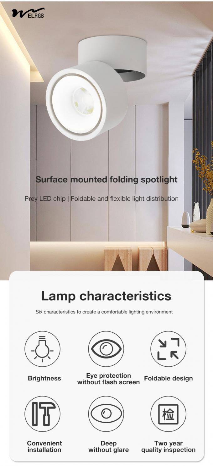 Household LED Cylindrical Light for Onsite Metering and Smart Home Lighting Solutions 2