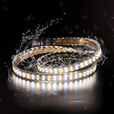 Good price IP68 6500K Led Rope Light White And Warm White Led Strip Lights For Ceiling online