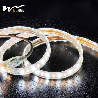 Good price 110V 220V LED Strip Light Outdoor Waterproof Dual Color White and Warm White Competitive online