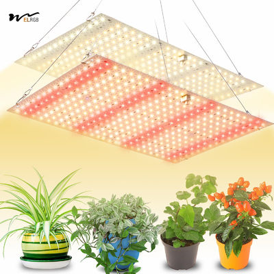 Good price Hanging Full Spectrum LED Plant Light for Germination and Flowering in Grow Tents online