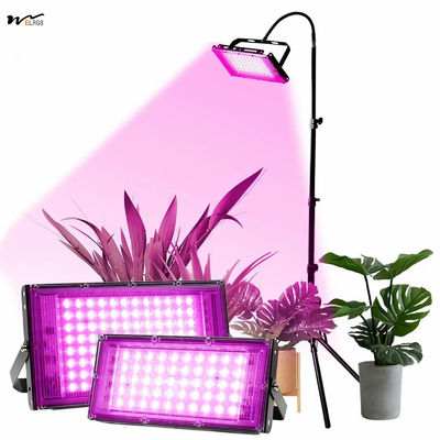 Good price Seed Starting 50W Full Spectrum Plant Lamp with Stand LED Standing Floor Grow Light online
