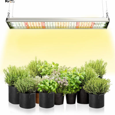Good price Kitchen Plants' Growth Essential Upgraded Full Spectrum Plant Light with 5000K 3000K online