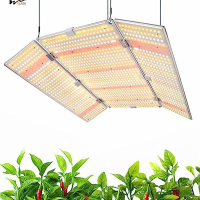 Good price LED Plant Growth Light 480W BU4800 for Daisy Chain Dimmable Adjustable LEDs Grow Lights online