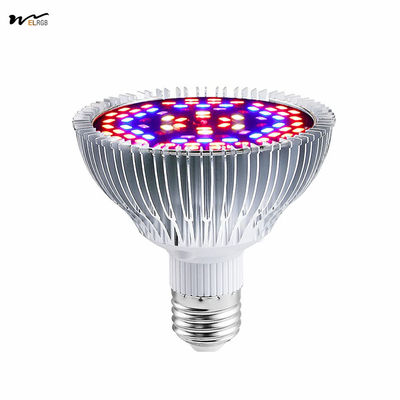 Good price Indoor Plant Veg Flower Garden Greenhouse Succulent 50W Led Plant Lamp Full Spectrum with UV and IR online