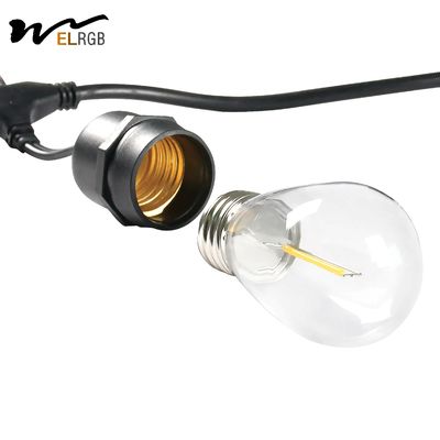 2700K-6500K 1w Led Filament Bulb LED Decorative Lights For Garden